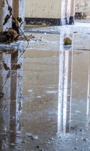 Insurance Loss Restoration Services - Water Damage