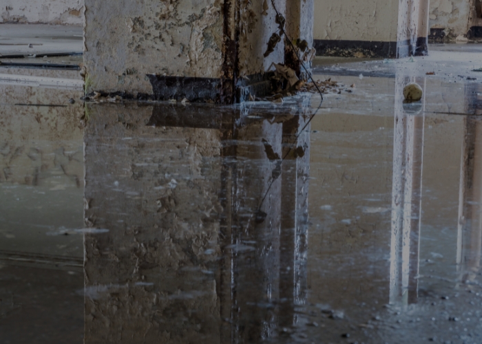 Water Damage Repair Services Photo